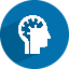 human-brain-icon human-brain-icon
